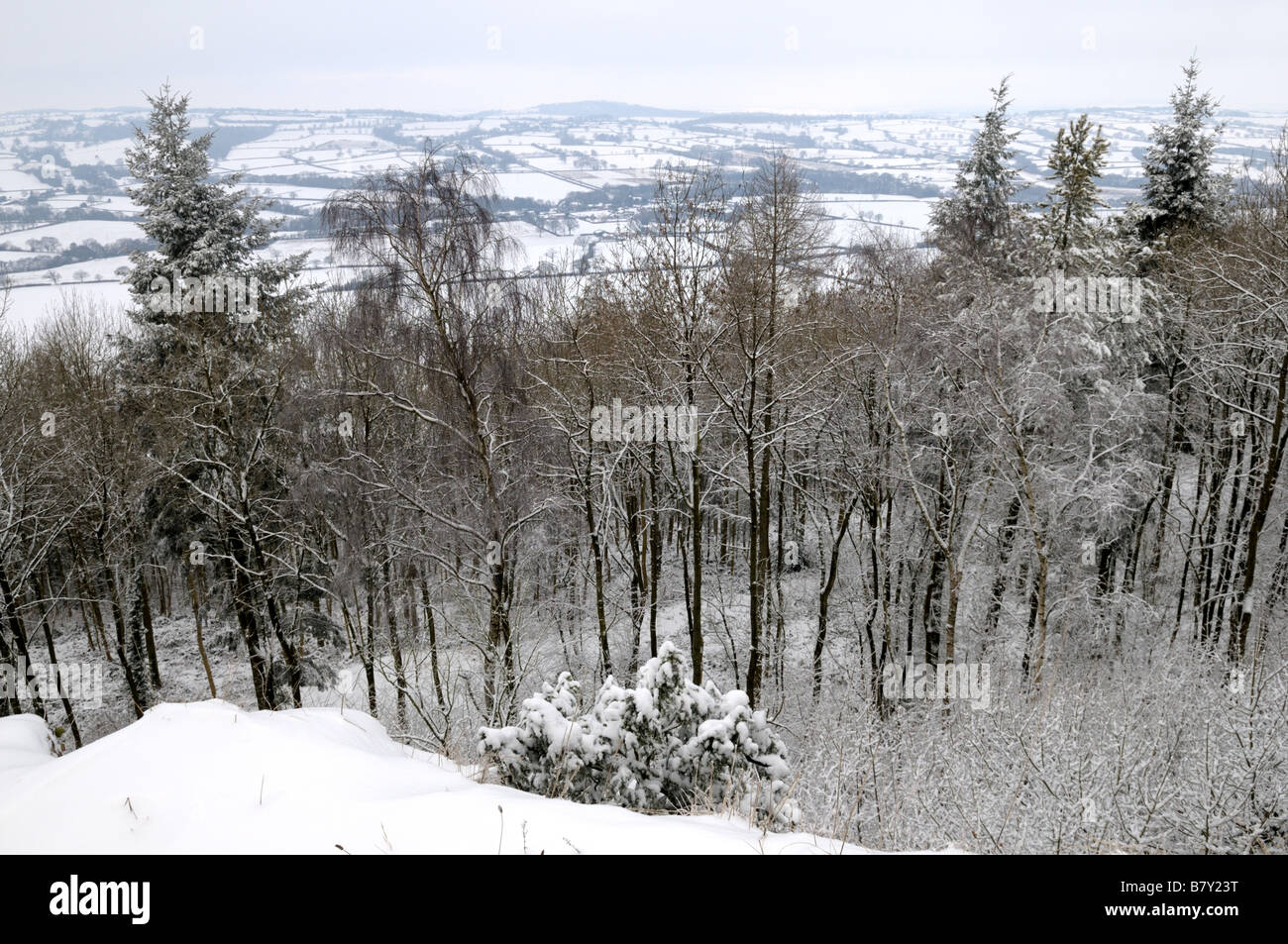 Winter on Wenlock Edge, Shropshire, England Stockfoto