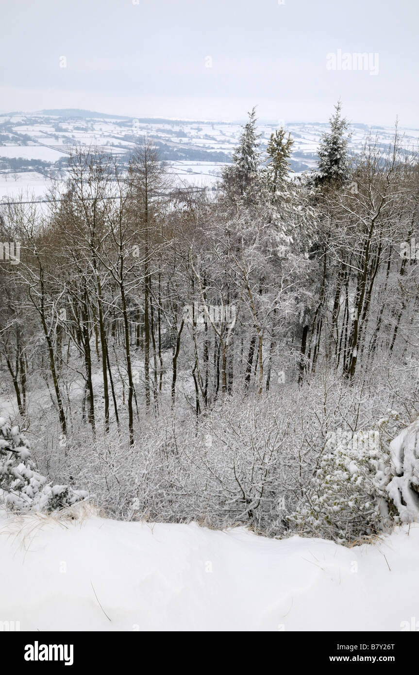 Winter on Wenlock Edge, Shropshire, England Stockfoto