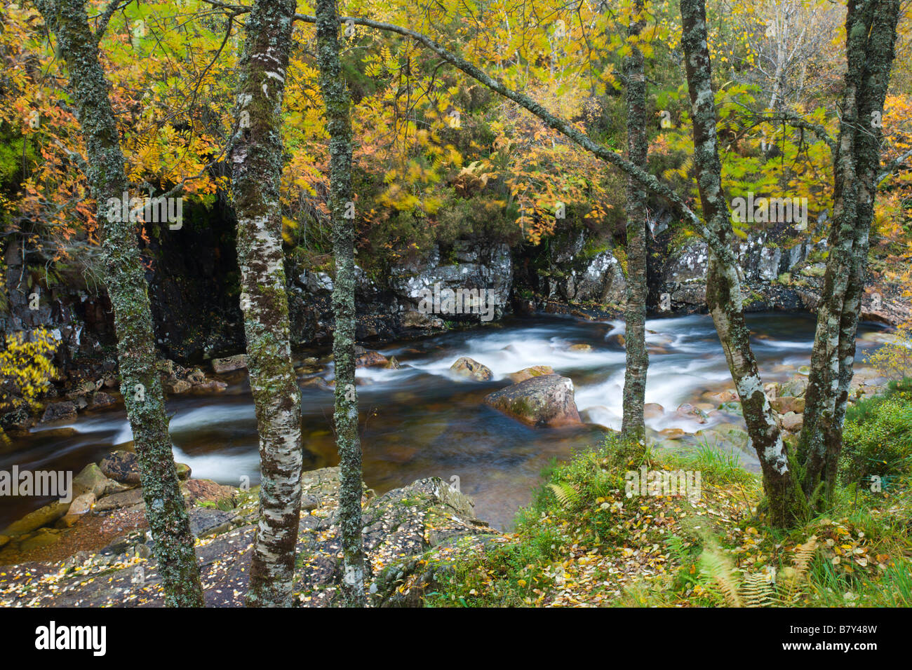 Fluß Etive umgeben von Bäumen in volle Herbstfärbung Glen Etive Highlands Schottland Stockfoto