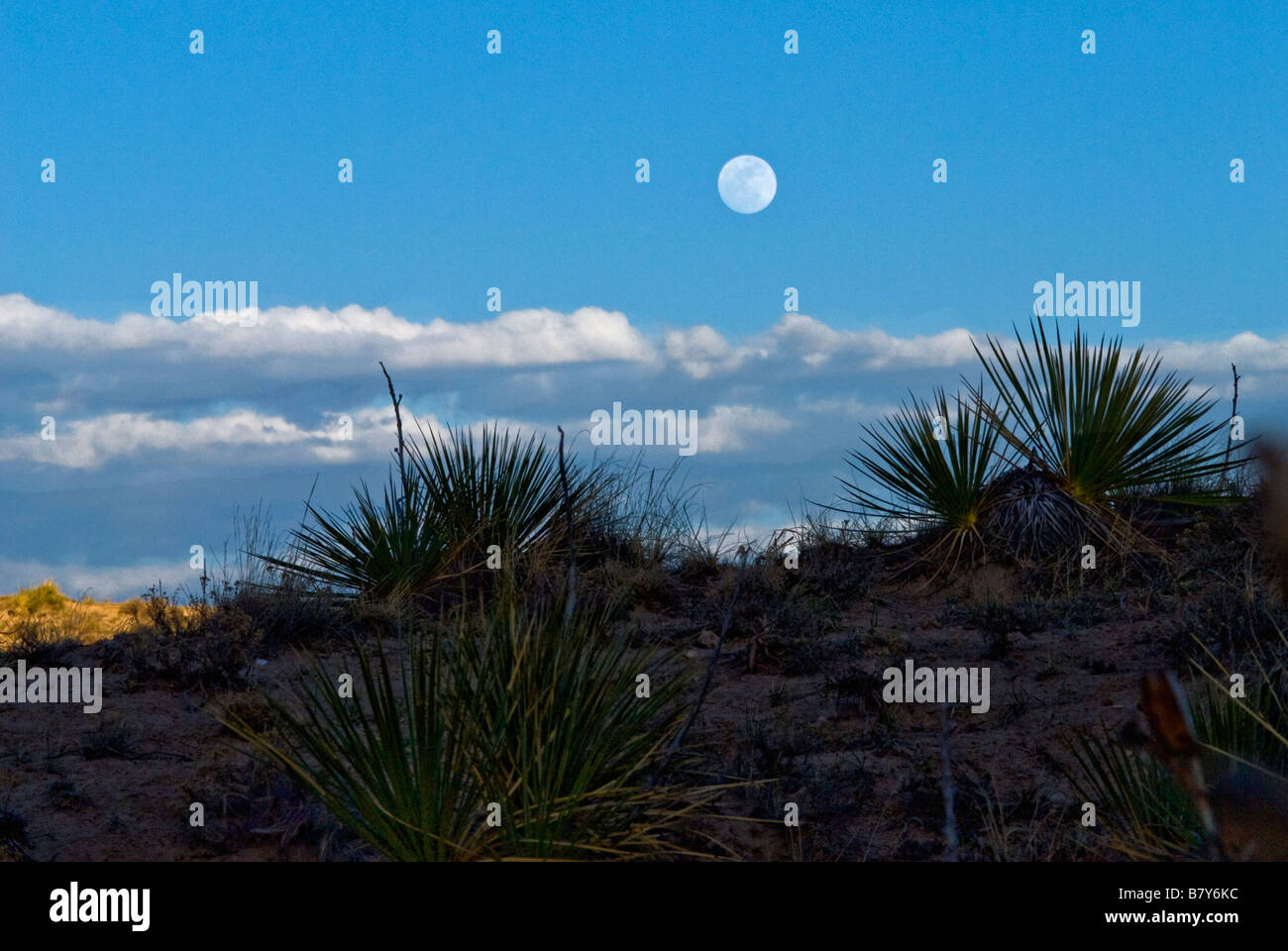 Mondaufgang über Pawnee National Grasslands im späten Frühjahr in der Abenddämmerung Stockfoto