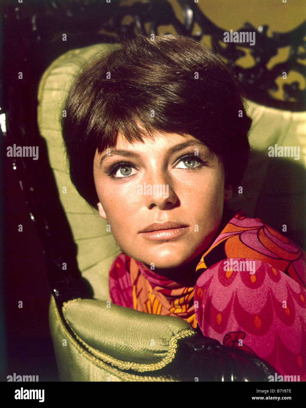 Jacqueline Bisset Jacqueline Bisset Jacqueline Bisset Stockfotografie