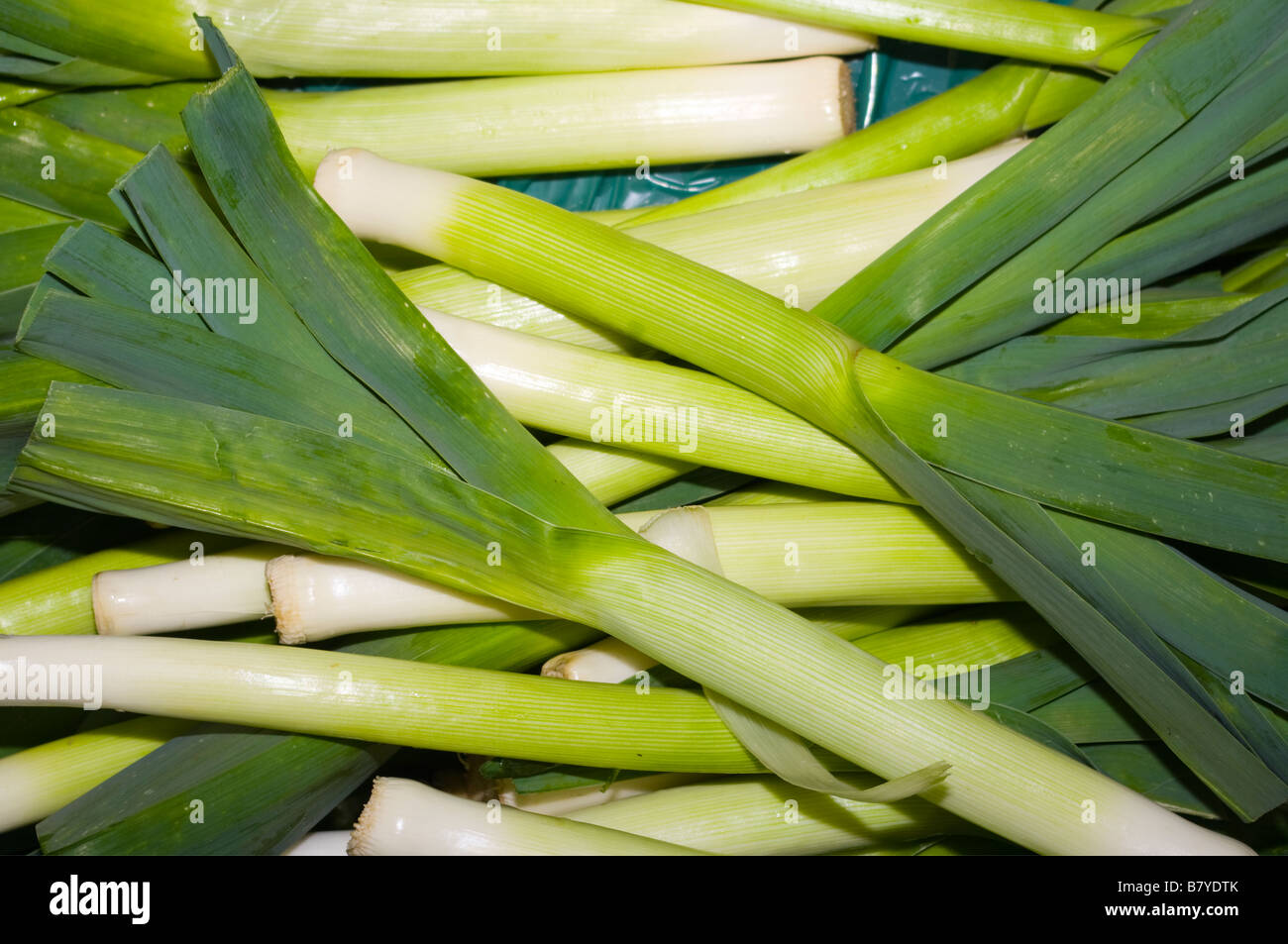 Rohe frischem Lauch grün Frühling Gemüse Gemüse Stockfotografie - Alamy