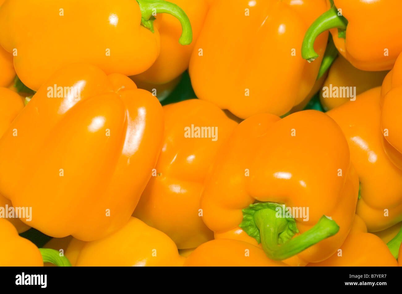 Frisches rohes Gemüse Gemüse gelbe Paprika Stockfoto