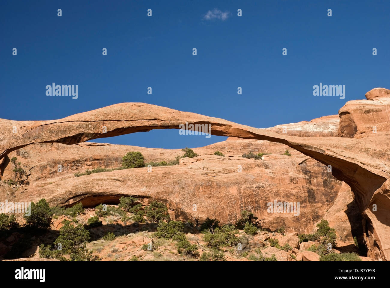 Landschaft Bogen, Arches-Nationalpark, Moab, Utah, USA Stockfoto