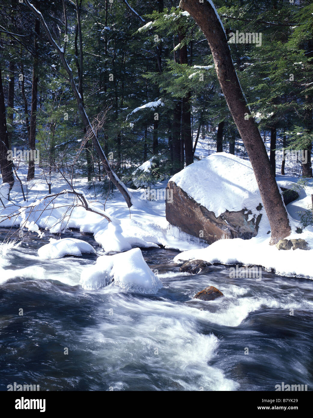 Fluss im Winter Stockfoto