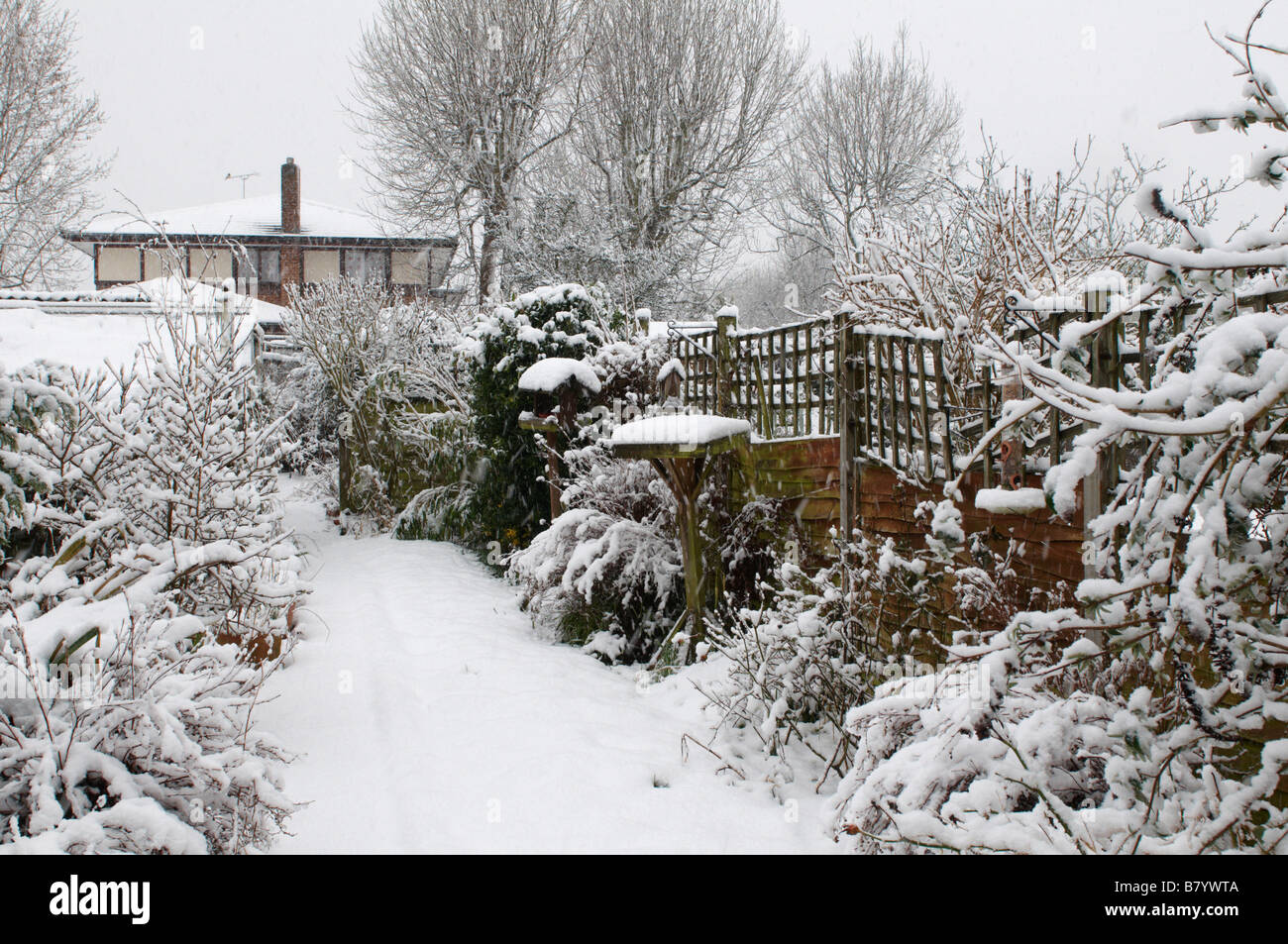 Winterliche Winter-Szene der Garten hinter dem Haus Grasbäume Zaun mit Schnee bedeckt Stockfoto