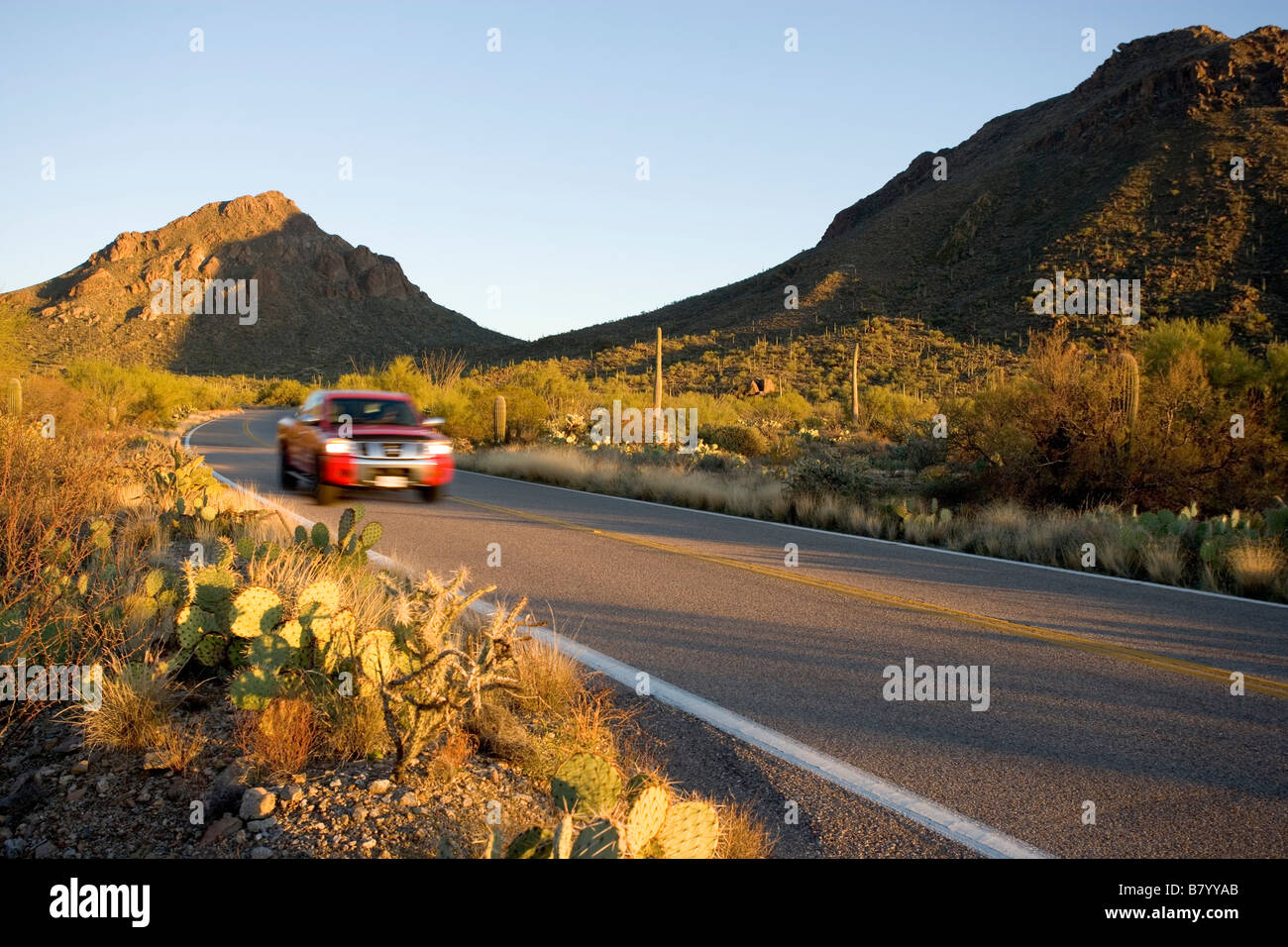 Ein Auto fährt durch Saguaro West National Park auf Gates Pass Road westlich der Aussichtspunkt in der Nähe der Yetman und Golden Gate tra Stockfoto