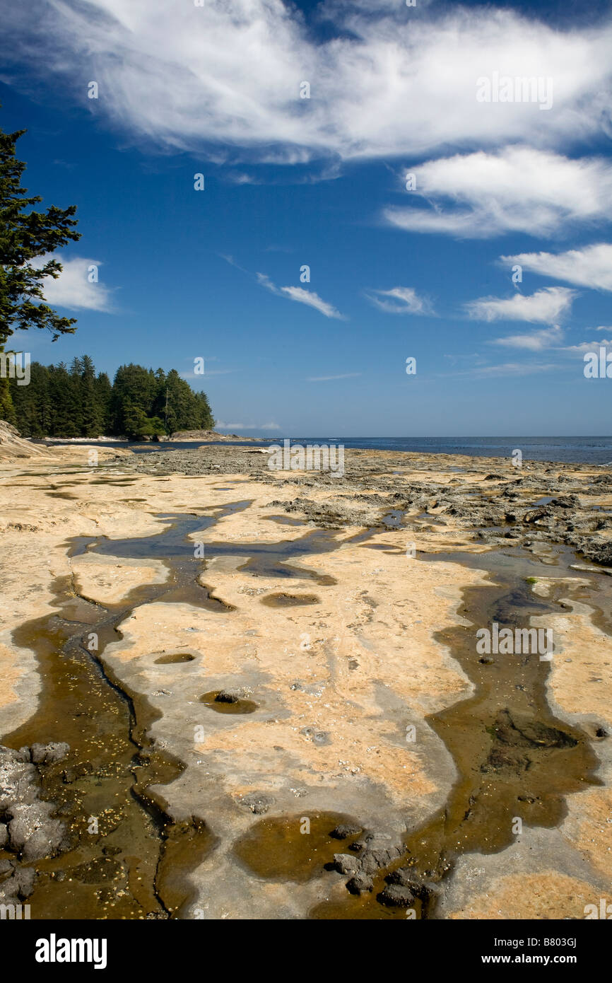 BRITISH COLUMBIA - Botanical Beach entlang der Juan De Fuca Marine Trail auf der Straße von Juan De Fuca auf Vancouver Island. Stockfoto