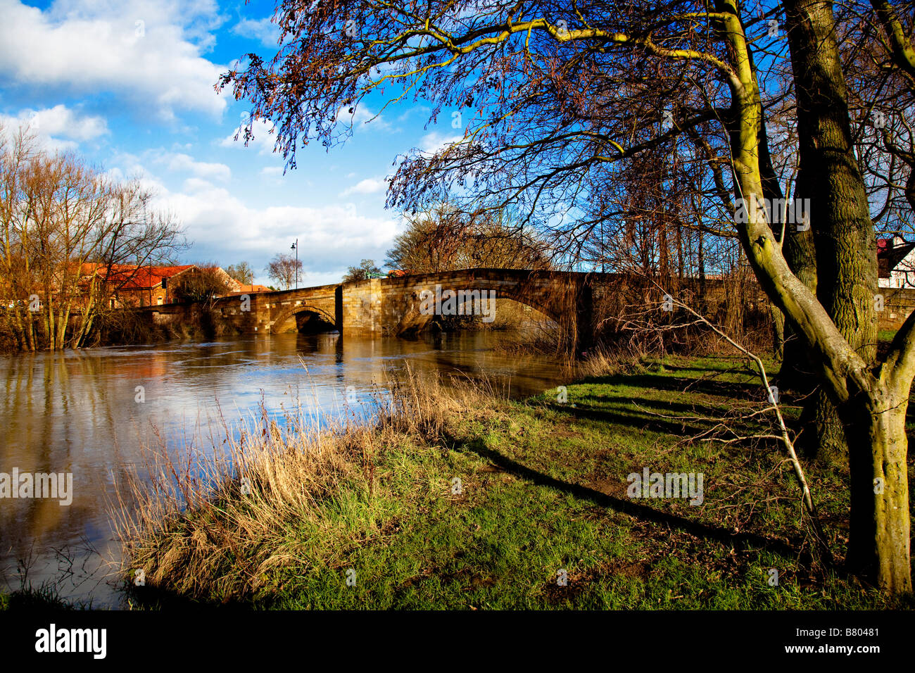 Der Fluss Derwent läuft hoch im Winter Stamford Bridge East Yorkshire Stockfoto