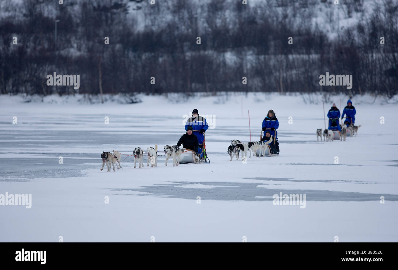 Schlitten-Teams von Huskys gezogen überqueren einen zugefrorenen See in Kirkenes Norwegen nördlich des Polarkreises Stockfoto