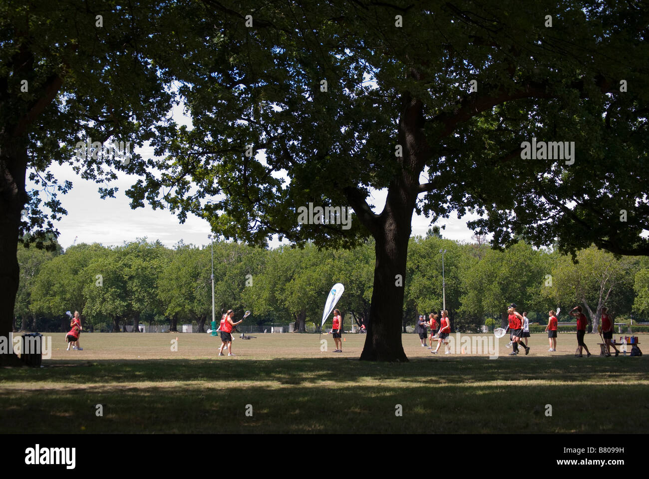 Mädchen spielen Lacrosse, Hagley Park, Christchurch, Canterbury, Neuseeland Stockfoto