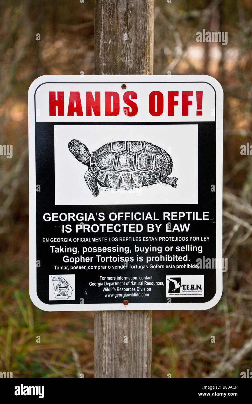 Crooked River State Park St. Marys Georgia GA USA-USA-Vereinigte Staaten von Amerika-Nordamerika Stockfoto