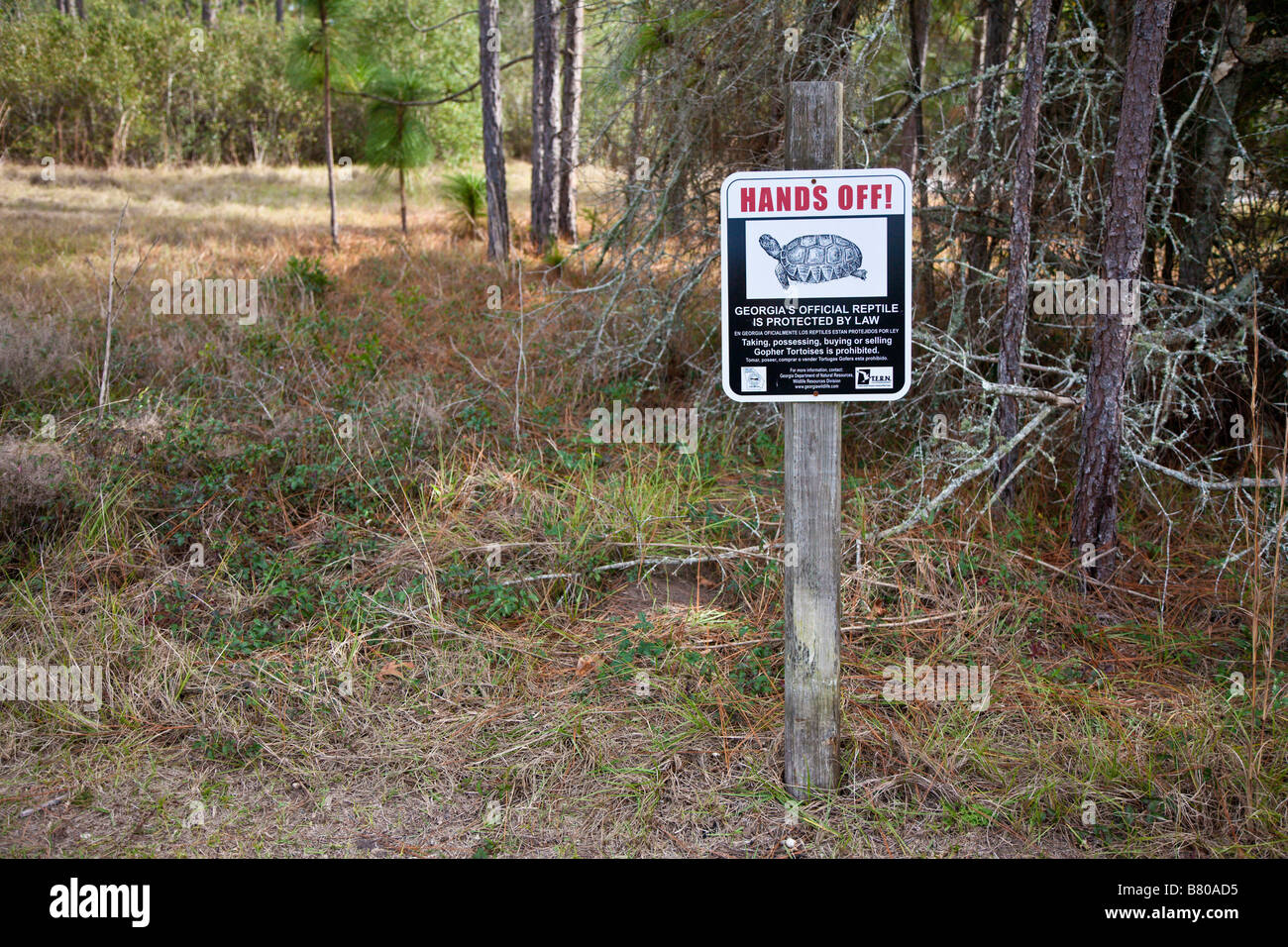 Crooked River State Park St. Marys Georgia GA USA-USA-Vereinigte Staaten von Amerika-Nordamerika Stockfoto