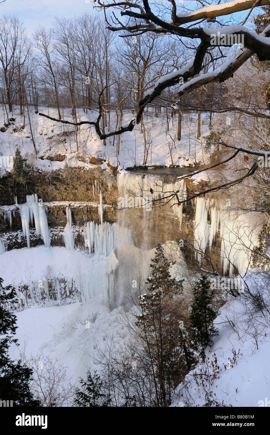 Eis und Schnee bedeckt Bäume am Tews fällt auf Zukunftsthemen Creek Niagara Escarpment Dundas Ontario Kanada Stockfoto