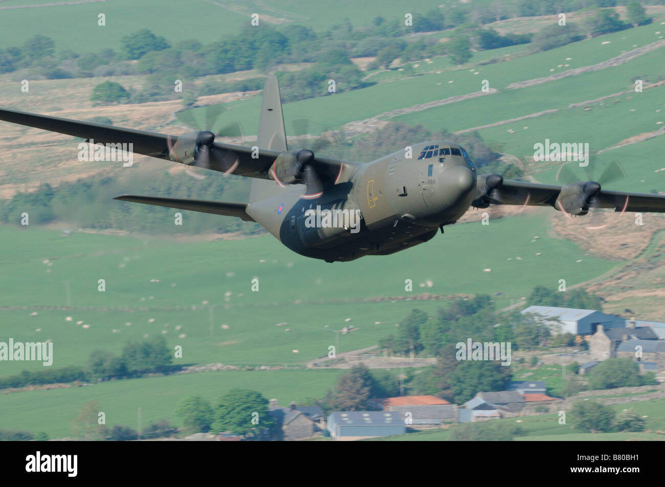 Hercules Stockfoto