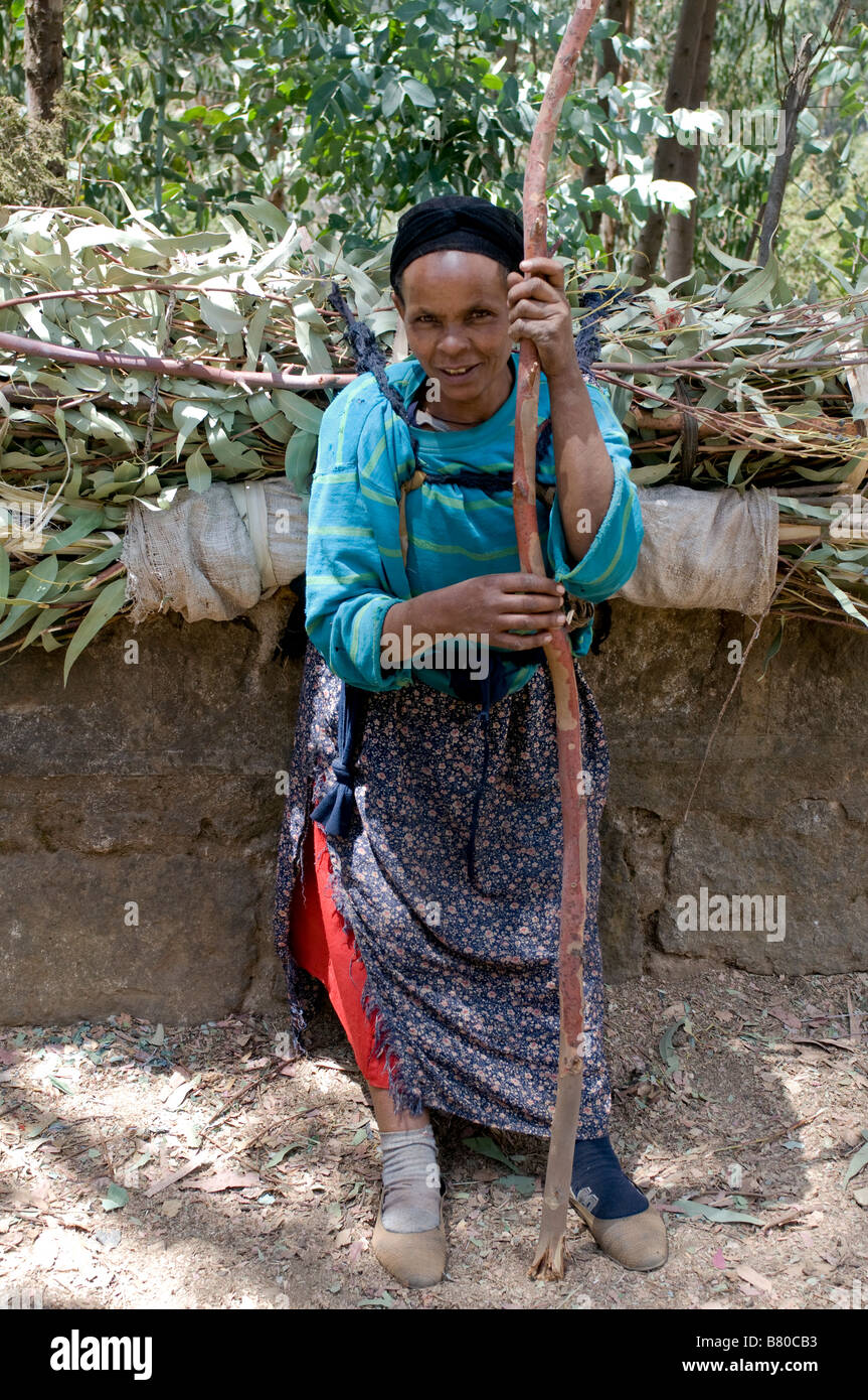 Frau tragen auf dem Rücken Addis Abeba Äthiopien Afrika Holz Stockfoto