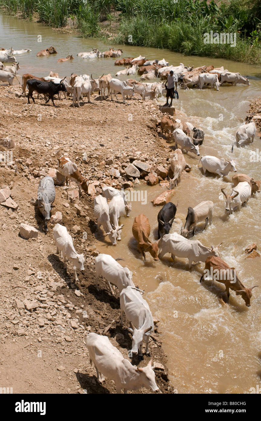 Eine fuhr in der Nähe eines Flusses Omo-Tal Äthiopien Afrika Stockfoto