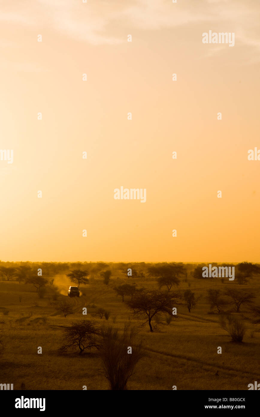 Öffnen Sie Safari erkunden LKW über afrikanische Savanne. Stockfoto