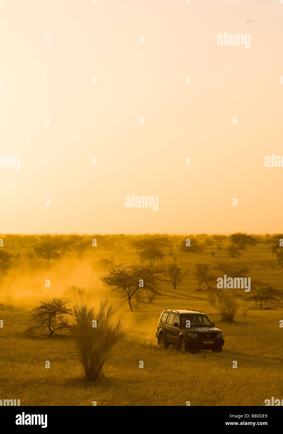 Öffnen Sie Safari erkunden LKW über afrikanische Savanne. Stockfoto