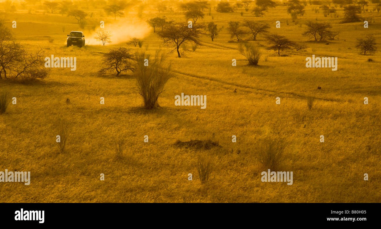 SUV Kreuzung afrikanische Savanne. Stockfoto