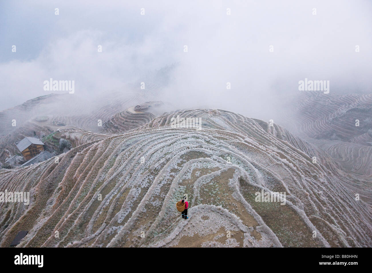 Zhuang Mädchen mit Reisterrassen bedeckt mit Eis und Frost während der Wintersturm Longsheng Guangxi China Stockfoto
