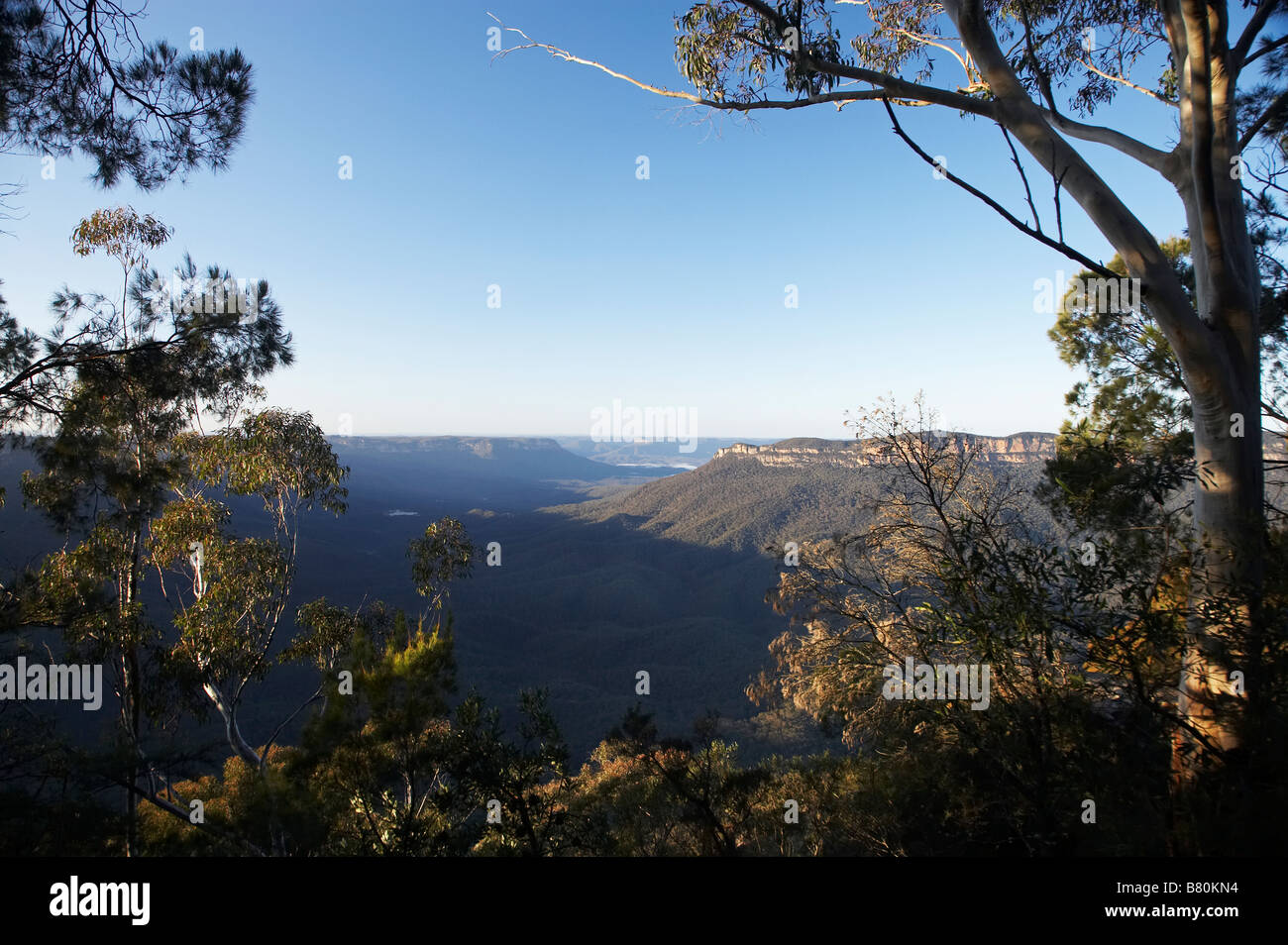 Blick über Jamison Valley von Sublime Point Blue Mountains, New South Wales Australien Stockfoto