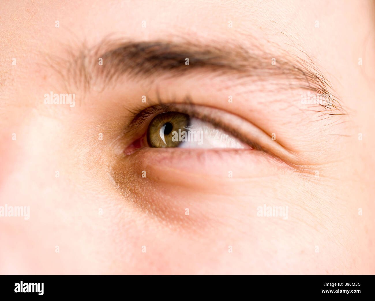 Nahaufnahme, ein junger Mann s linkes Auge und Augenbraue Stockfoto