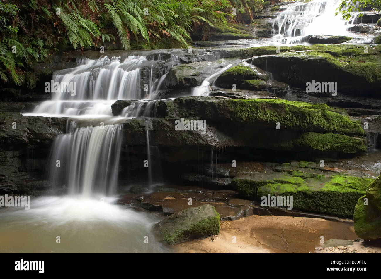 Leura Cascades Blue Mountains New South Wales Australien Stockfoto