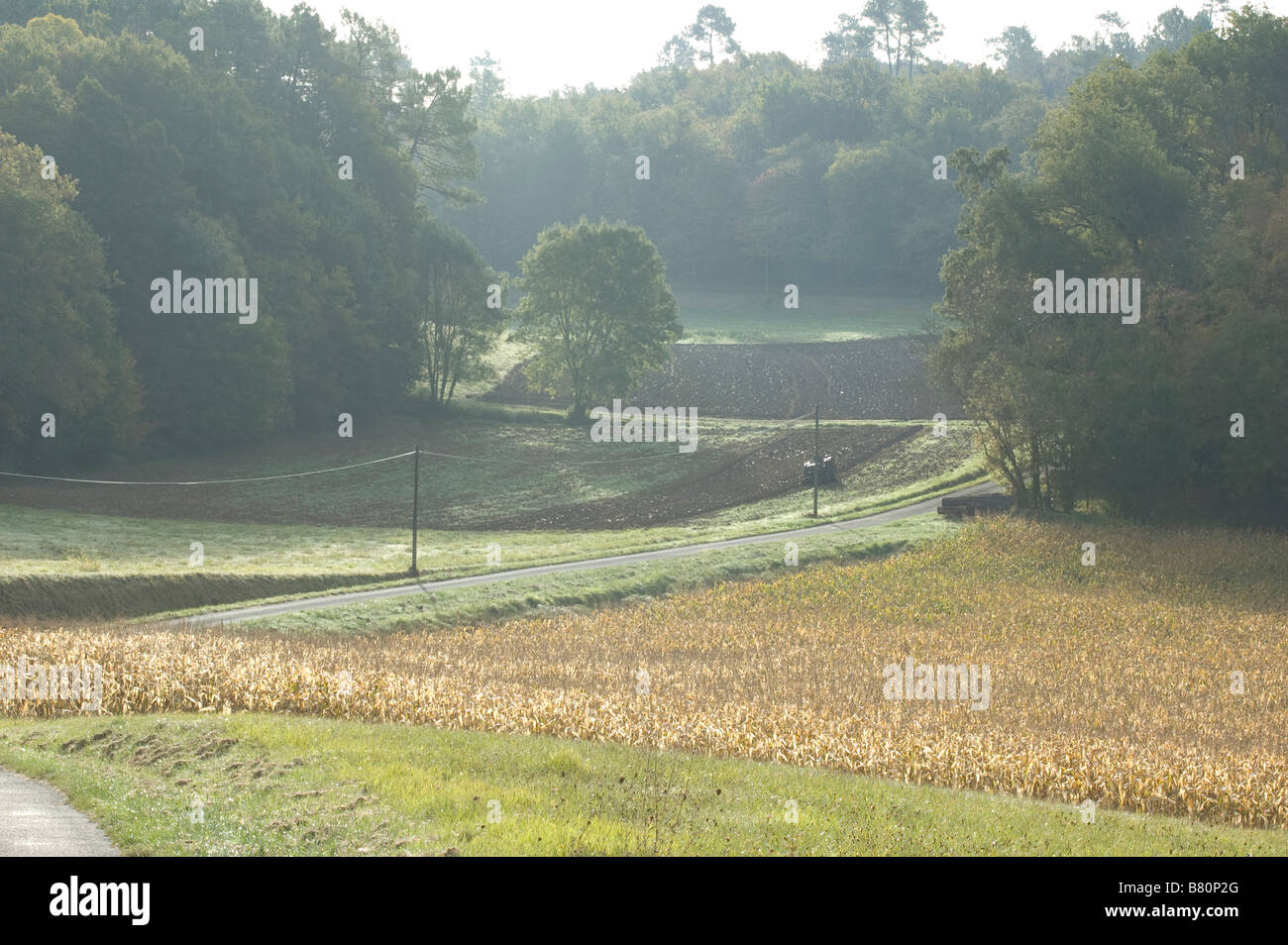 Anfang Herbst Szene, Campsgret Stockfoto