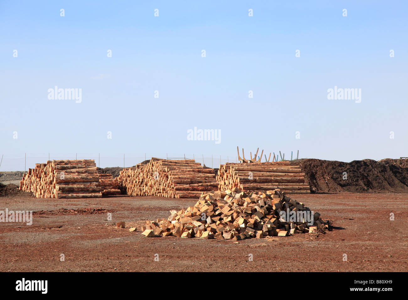 Talon von Brennholz und Kiefer Protokollen am Holzlagerplatz am Hafen für den Export, Prime Port, Timaru, Canterbury, Südinsel, neue Zeala Stockfoto