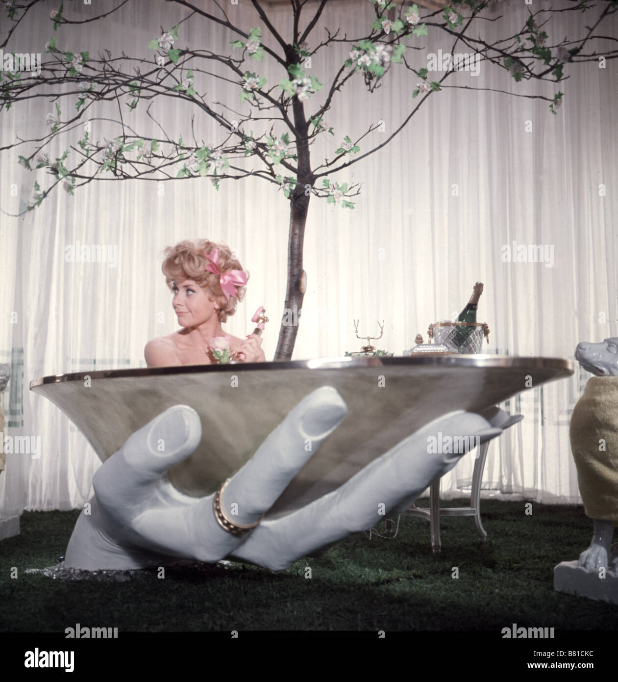 L'amateur Jahr: 1968) Niedergang und Fall eines Birdwatcher/Niedergang und Fall Jahr: 1968-uk Geneviève Seite Regie: John krish Stockfoto