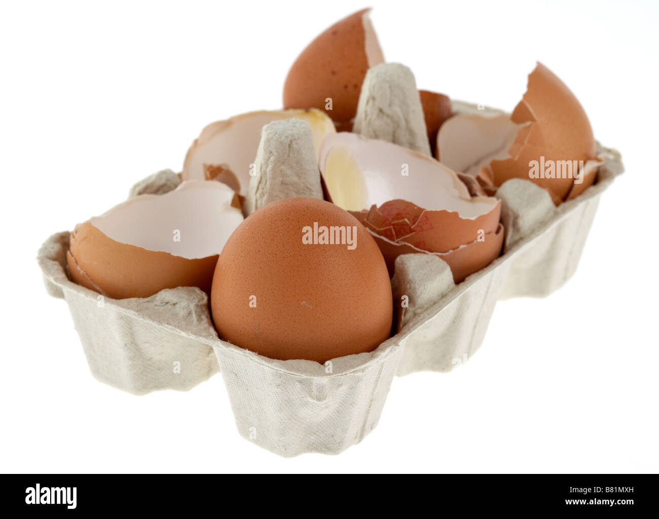 einziges intaktes Ei in einem Karton mit gebrochenen Eiern Stockfoto
