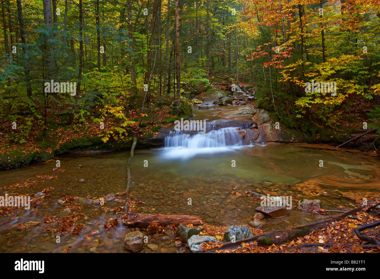 Herbstszene in der Nähe des Beckens in Franconia Notch State Park New Hampshire Stockfoto
