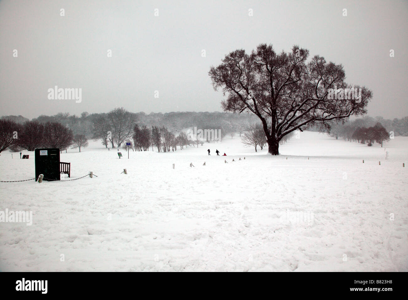 Weiten Winkel-Blick über den Golfplatz in Beckenham Place Park, Lewisham, während der Schnee-Event in London Stockfoto
