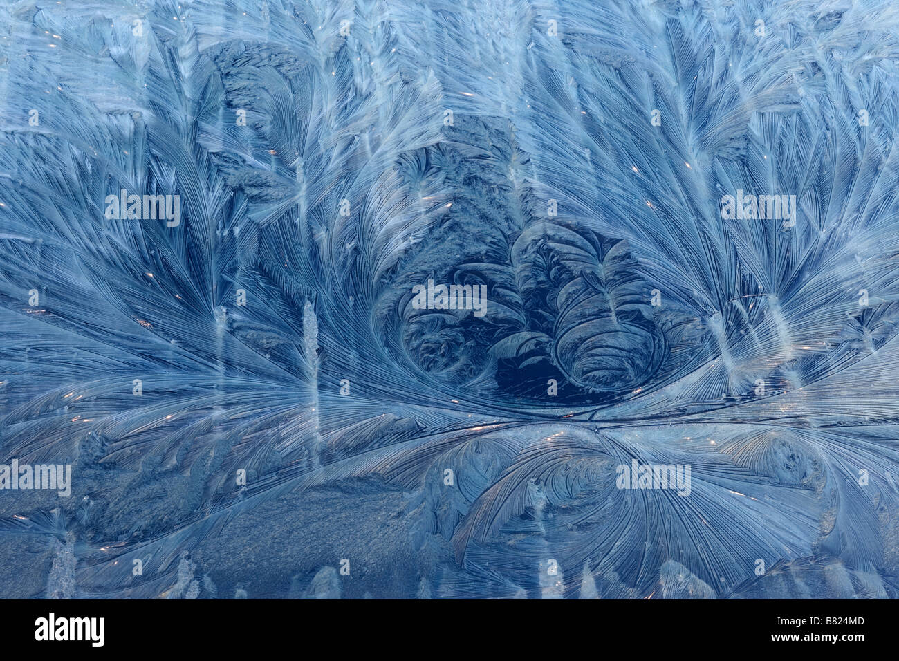 Frost auf Auto Stockfoto