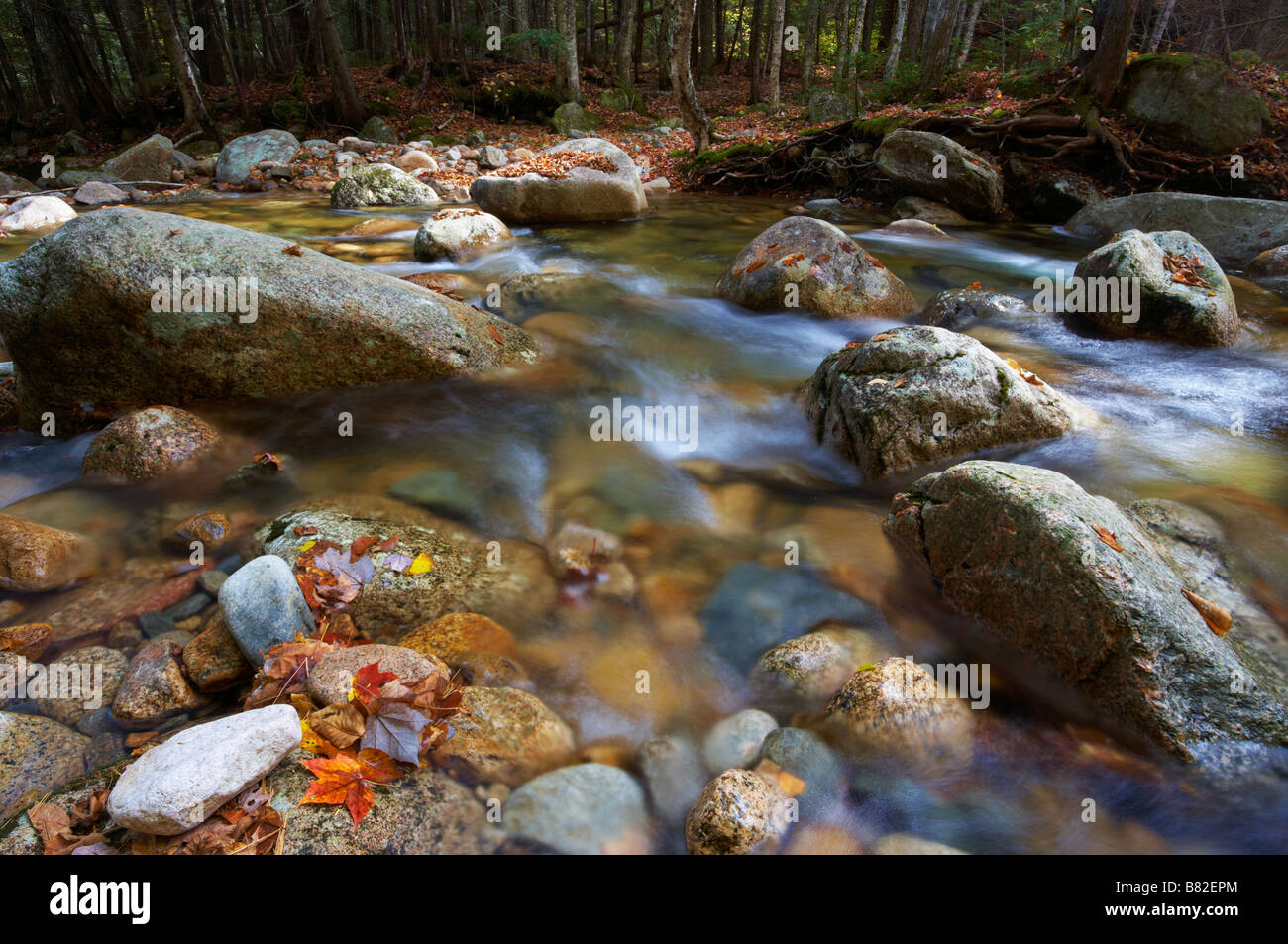 Herbstszene auf dem Weg nach Sabadday fällt in New Hampshire Stockfoto