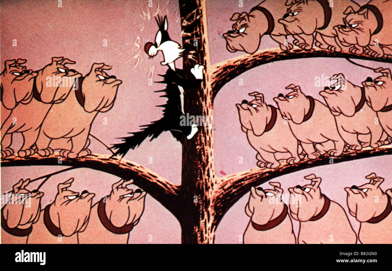 Die Sylvester & Tweety Show Jahr: 1976 USA Regie: Gerry Chiniquy Friz Freleng Robert McKimson Stockfoto Die Sylvester & Tweety Show Jahr: 1976 USA Regie: Gerry Chiniquy Friz Freleng Robert McKimson Stockfoto