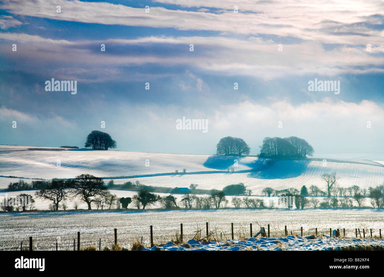 Einen sonnigen verschneiten Landschaftsblick oder eine Filmszene auf Overton Hill in der Nähe von Marlborough Wiltshire England UK Stockfoto