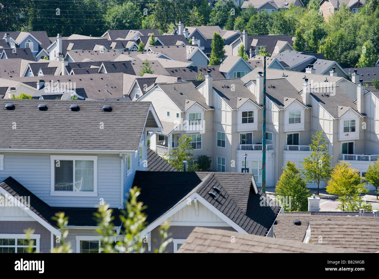 Vogelperspektive Blick auf eine Wohnsiedlung in Issaquah WA USA Stockfoto