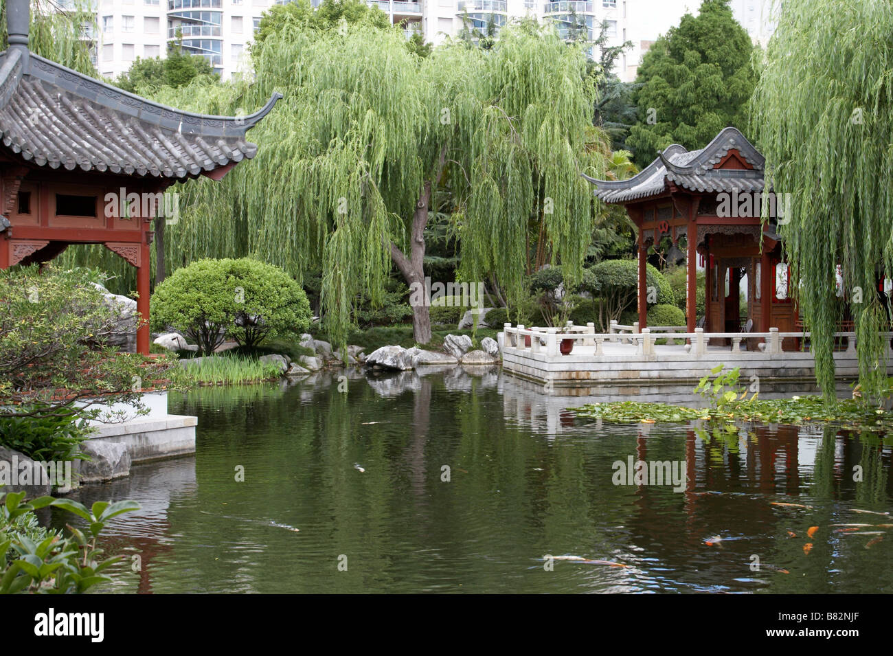 Der chinesische Garten der Freundschaft in Darling Harbour, Sydney Stockfoto