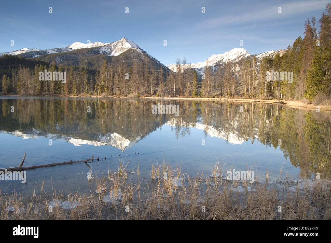 Pettit See am Fuße der Sägezahn Mountain Range in der Nähe von Sun Valley Idaho Stockfoto