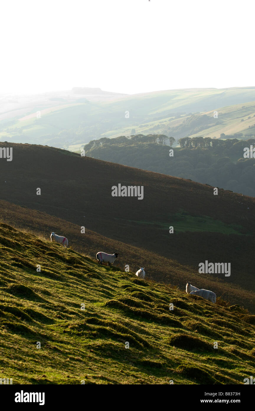 Schöne Aussicht von Berggebieten Europas Powys, Mid Wales, Vereinigtes Königreich. Stockfoto