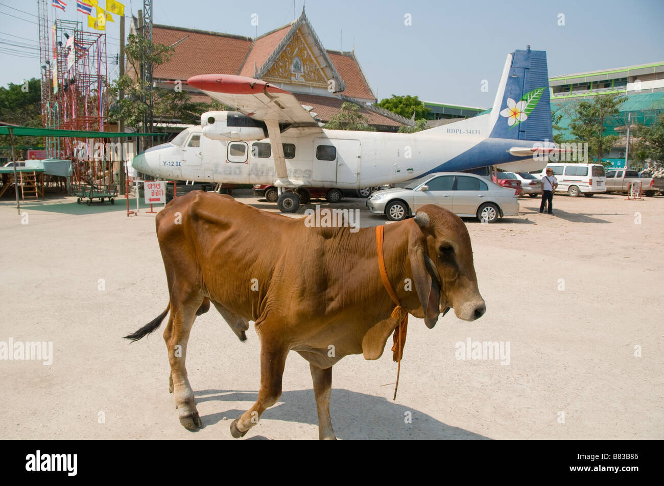 Lao Airlines Flugzeug und eine Kuh an den seltsamen Wat Hua Krabeu-Tempel in Bangkok Thailand Stockfoto