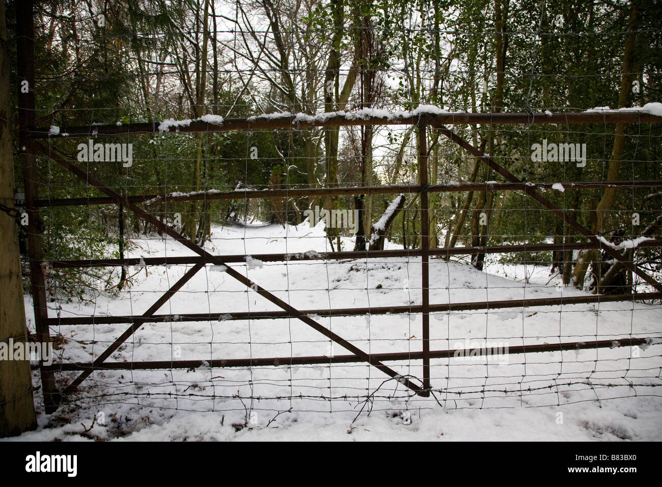 Tor Schloss Metall Privaten Schnee Stockfotos Und Bilder Kaufen Alamy