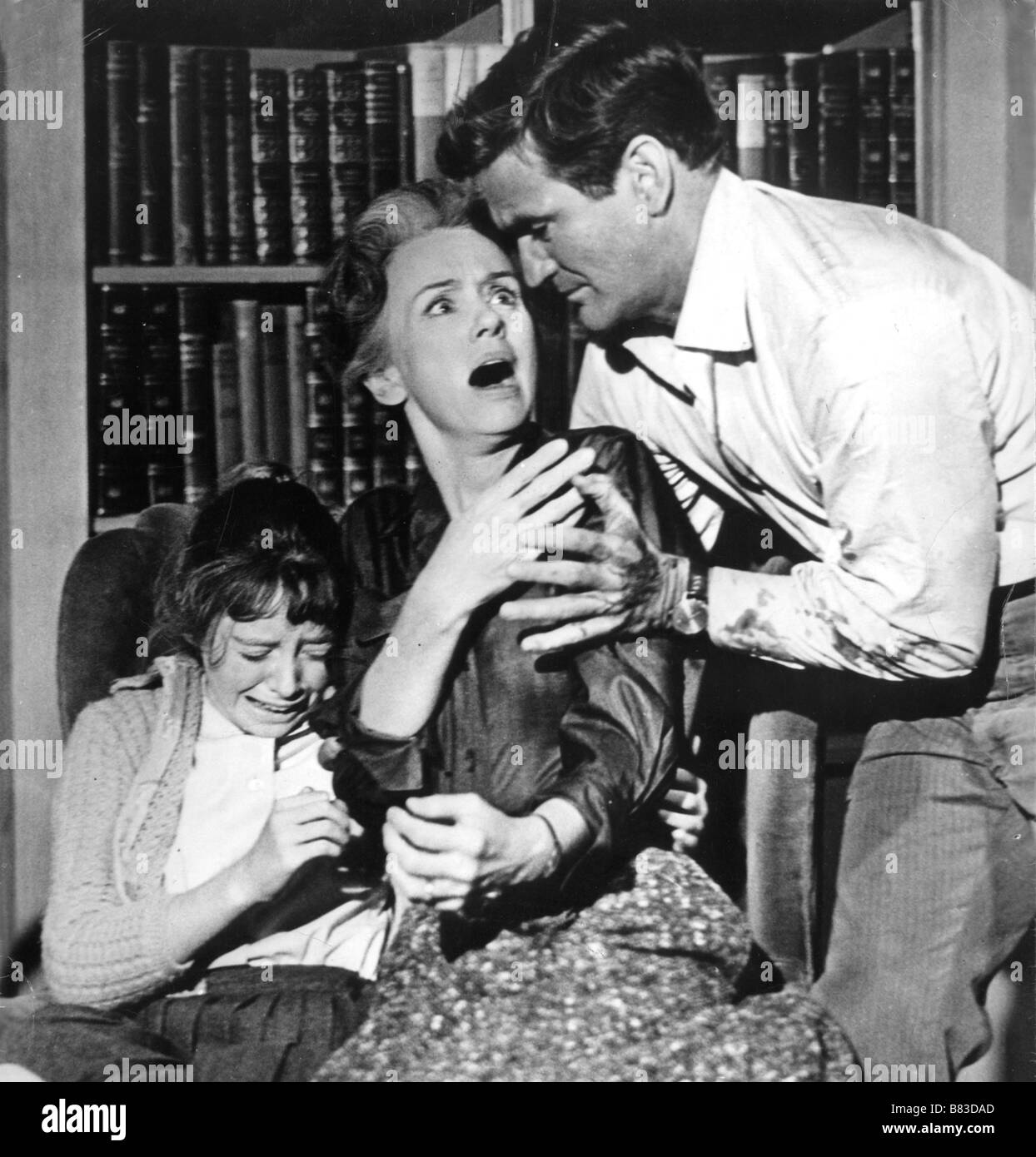 Die Vögel Jahr: 1963 - USA Jessica Tandy, Veronica Cartwright, Rod Taylor Regisseur: Alfred Hitchcock Stockfoto