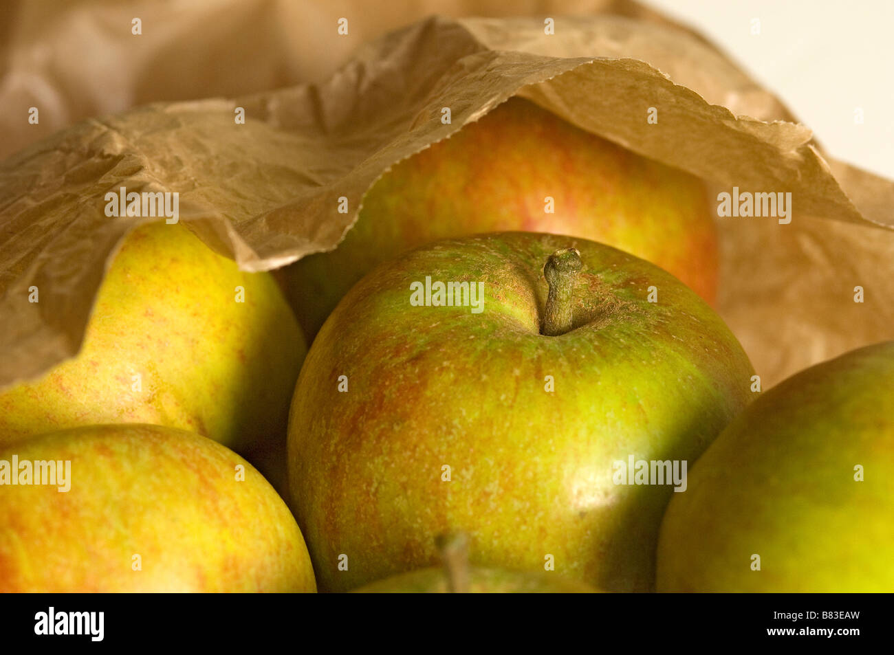 Coxs Orange pippin Äpfel Apfel in brauner Papiertüte Nahaufnahme Stockfoto