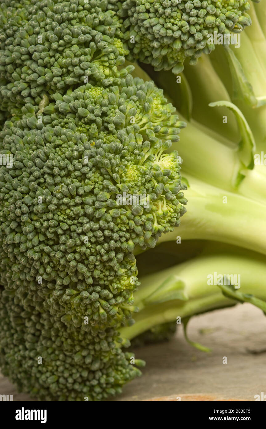 Nahaufnahme des Gemüseköpfchens von rohem, ungekochtem Brokkoli Stockfoto