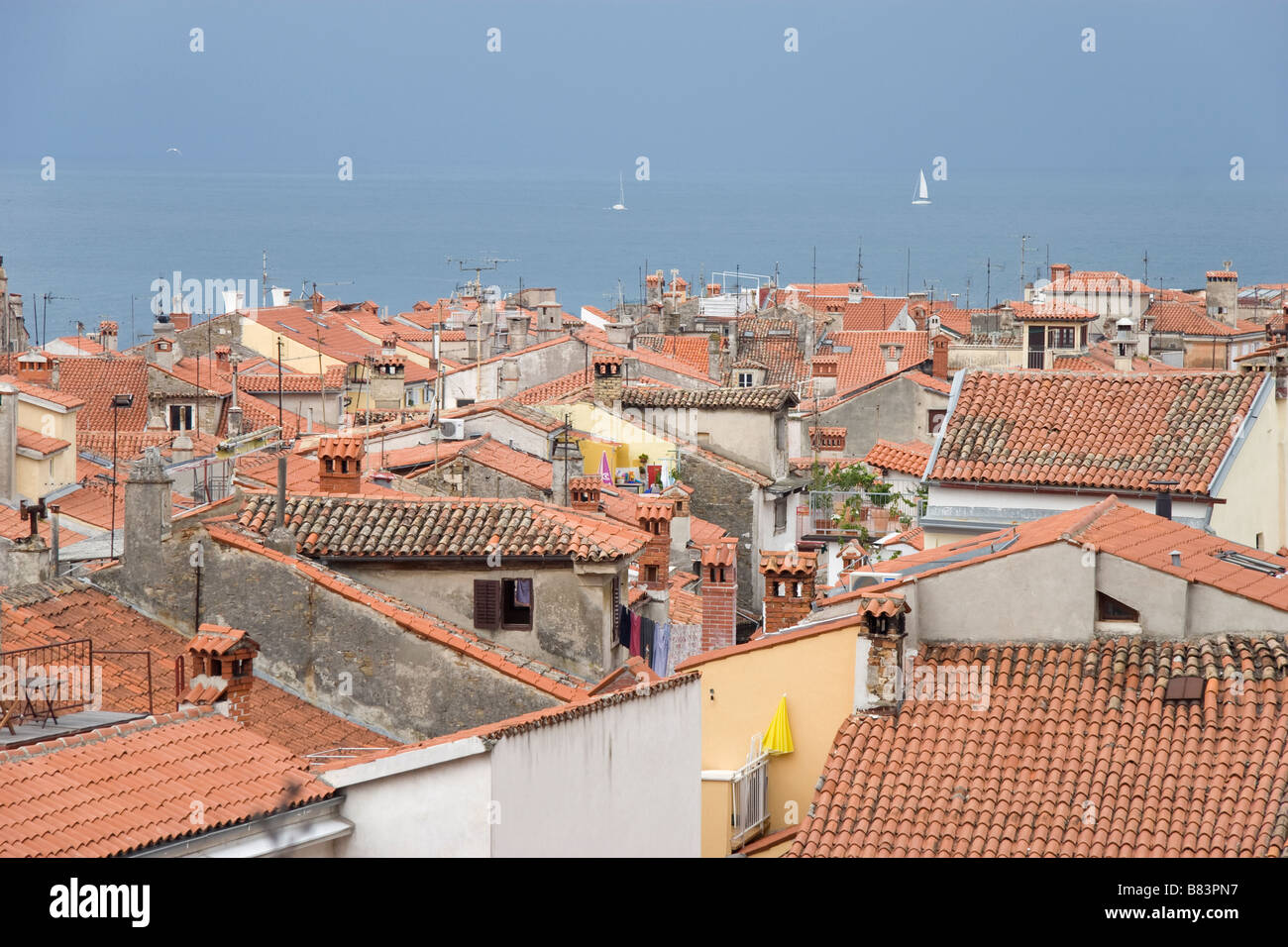 Luftaufnahme der Rot/Terracotta Ziegeldächern vom Glockenturm in der alten malerischen Hafenstadt Piran in Primorska, Slowenien Stockfoto