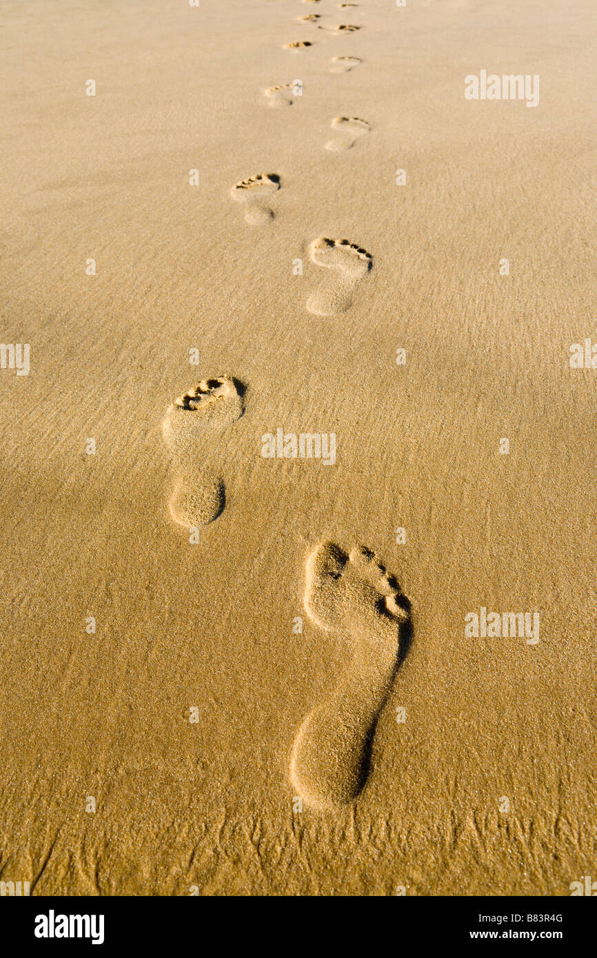 Fußabdrücke im sand -Fotos und -Bildmaterial in hoher Auflösung – Alamy