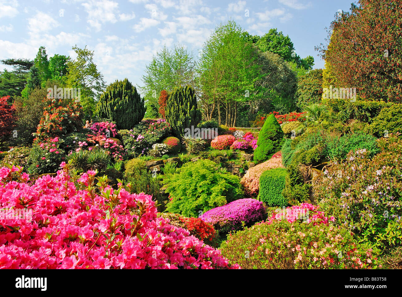 Leonardslee Garten Sussex UK Stockfoto